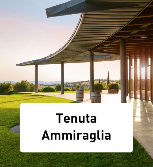 Tenuta Ammiraglia - foto van het wijnhuis op een berg met de zon die doorkomt en wijnvaten op het terras